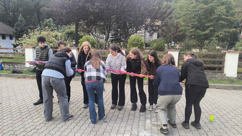 Beszámoló a XI. B zöld heti tevékenységeiről